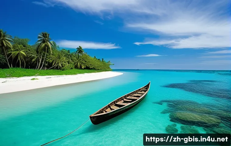 기니비사우에서 생활하는 외국인의 경험담 관련 이미지 1