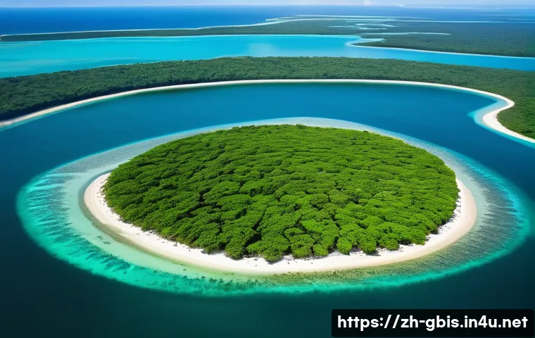 기니비사우에서 가장 인기 있는 유튜브 채널 관련 이미지 2