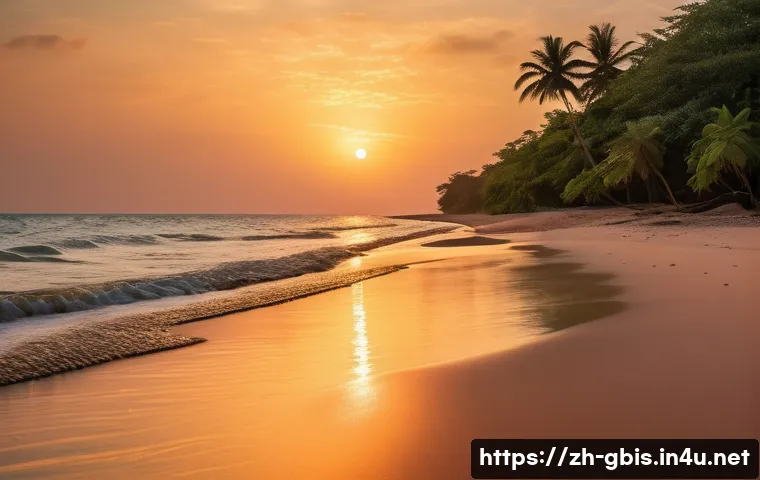 기니비사우에서 즐길 수 있는 액티비티 관련 이미지 1